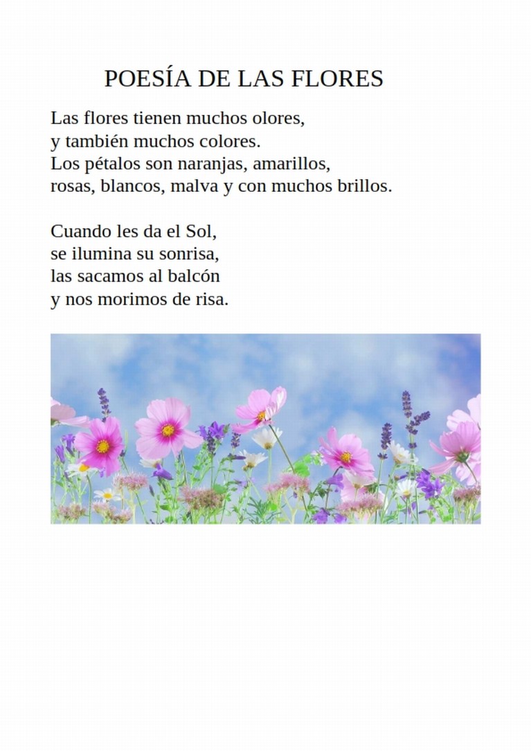 Golpeteo Administración Retrato Los niños y niñas de 3º de primaria son grandes poetas – Rafaela María –  Valladolid