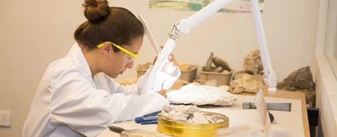Día Internacional de la Mujer y la Niña en la ciencia en el colegio Concertado Rafaela María del centro de Valladolid