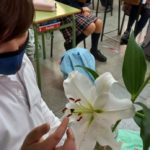 Los alumnos y alumnas de quinto de primaria del Colegio Rafaela María observan las partes de una flor.